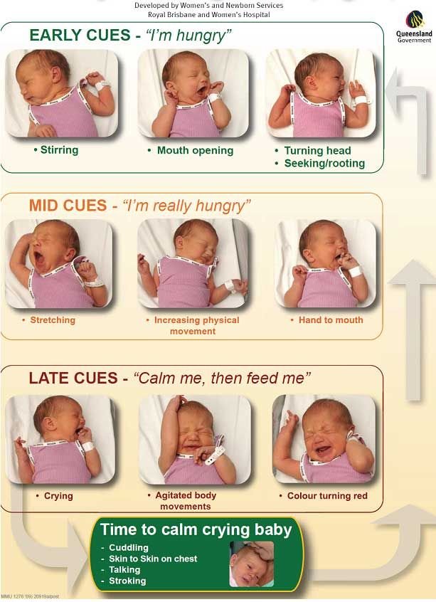 breastfeeding%20chart.jpg